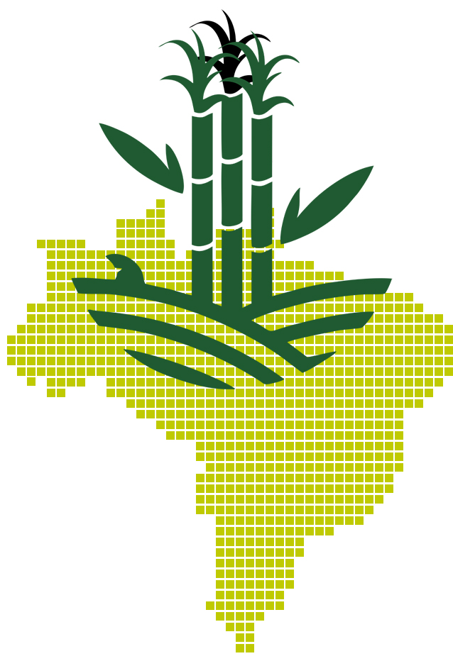 trey-curtis About Us