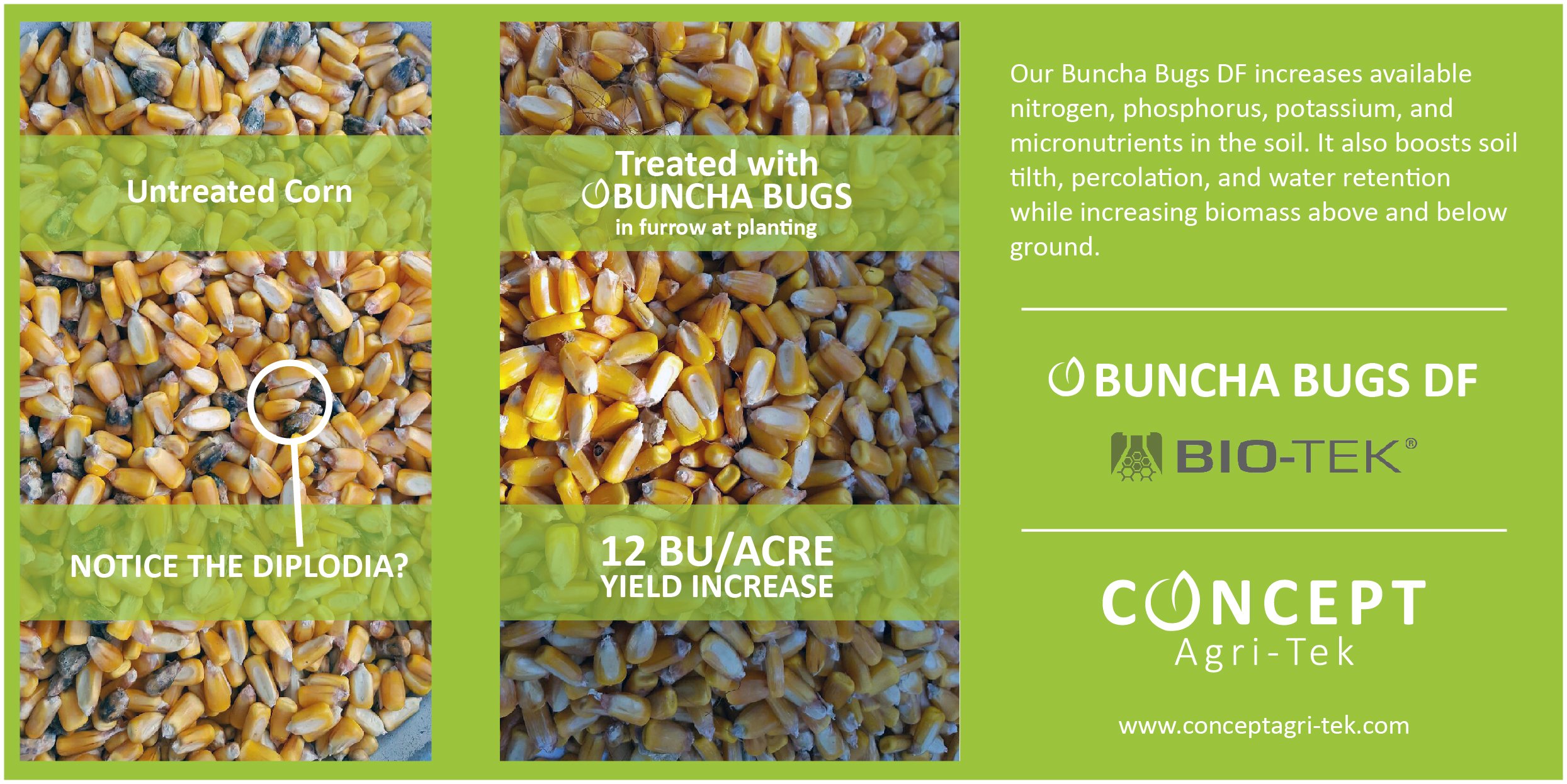 buncha-bugs-df-slide Technology