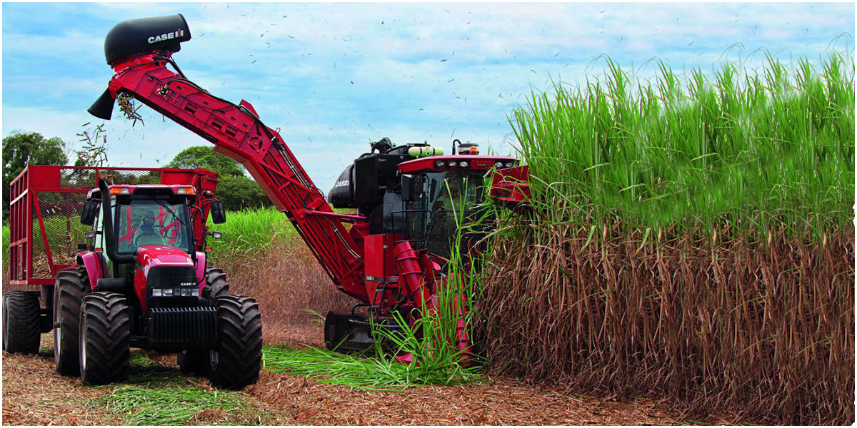 NEW-CA_ALFORD-Testimonial_website-1 About Us