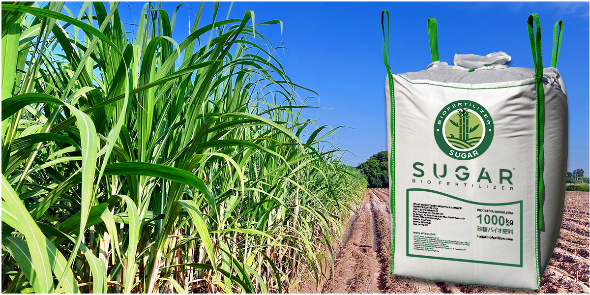 NEW-CA_ALFORD-Testimonial_website-1 About Us